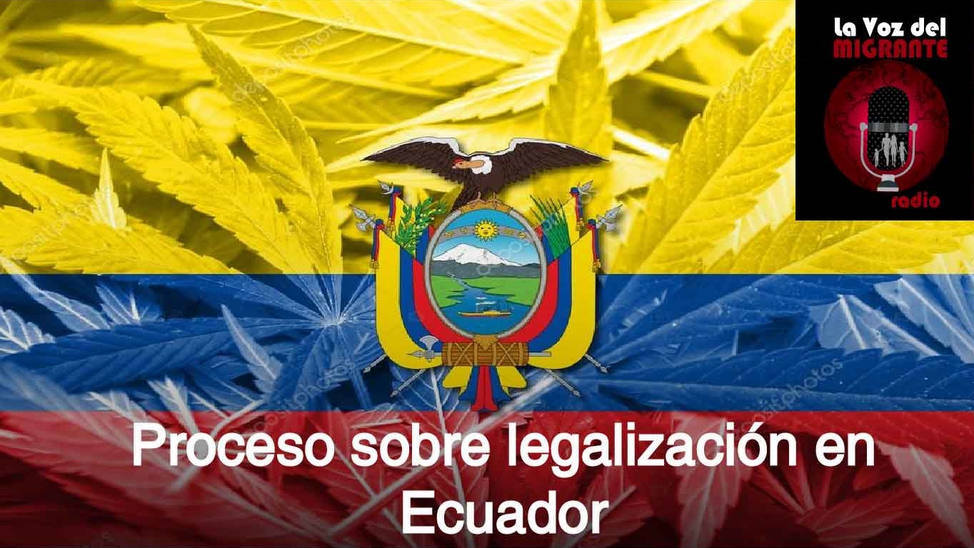 cannabis-bandera-escudo
